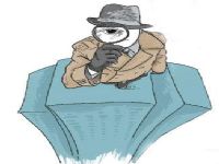 扶风县取证公司解说第三者承担离婚赔偿责任吗